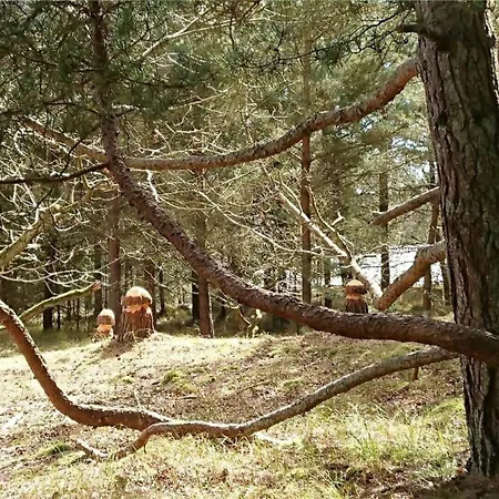 Hébergement de vacances 1408-aakirkeby-poseregardsvejen-8 Vester Somarken