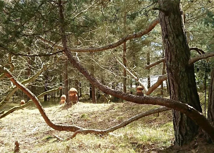 Hébergement de vacances 1408-aakirkeby-poseregardsvejen-8 Vester Somarken
